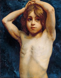 少年の研究
